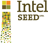 Intel Seed